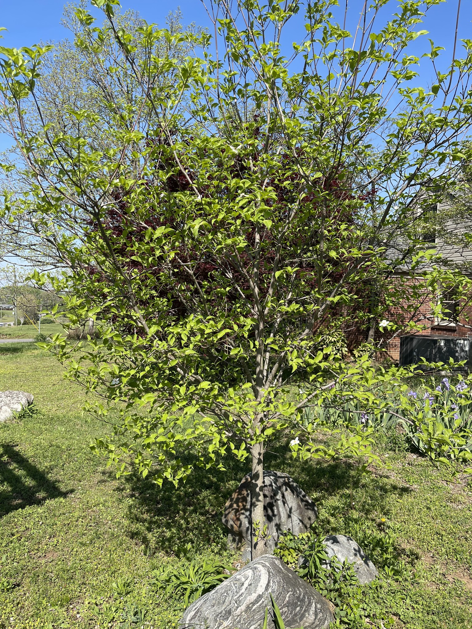 3120 Knobdale Road Nashville, TN 37214 - Photo 64 of 65