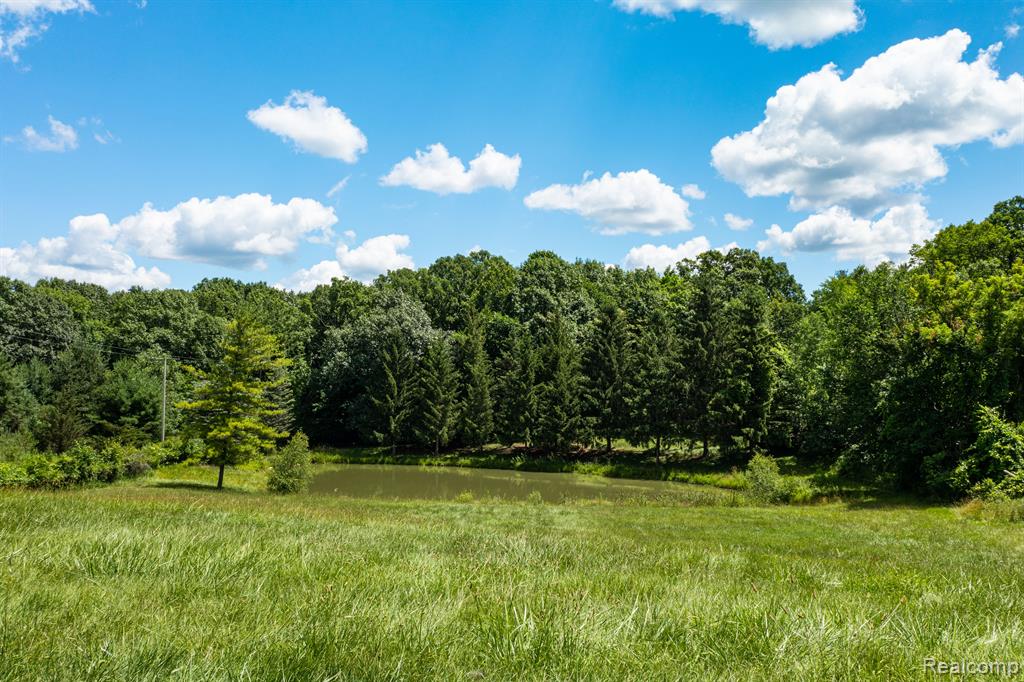 3362 Pratt Road Metamora, MI 48455 - Photo 15 of 18