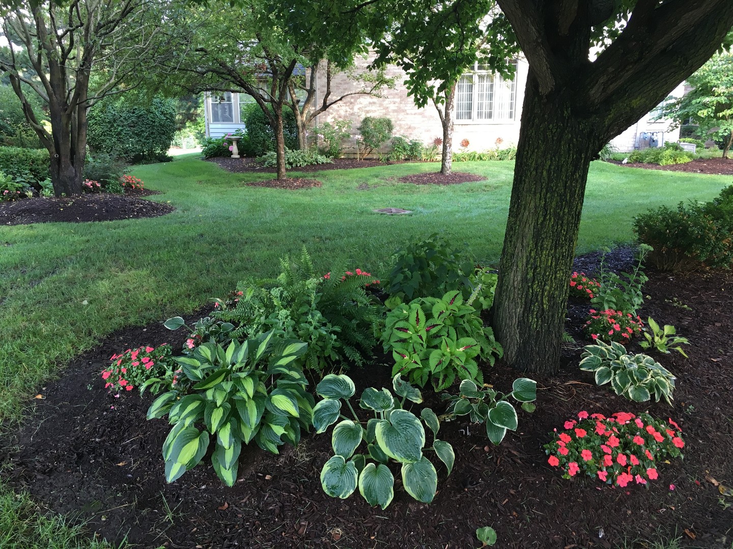 4929 Commonwealth Avenue Western Springs, IL 60558 - Photo 29 of 32 a view of garden with flowers and trees