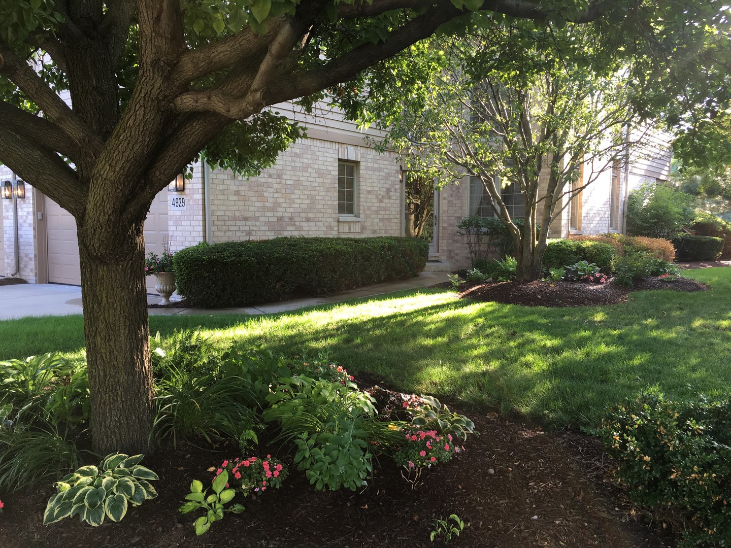 4929 Commonwealth Avenue Western Springs, IL 60558 - Photo 30 of 32 a backyard of a house with lots of green space