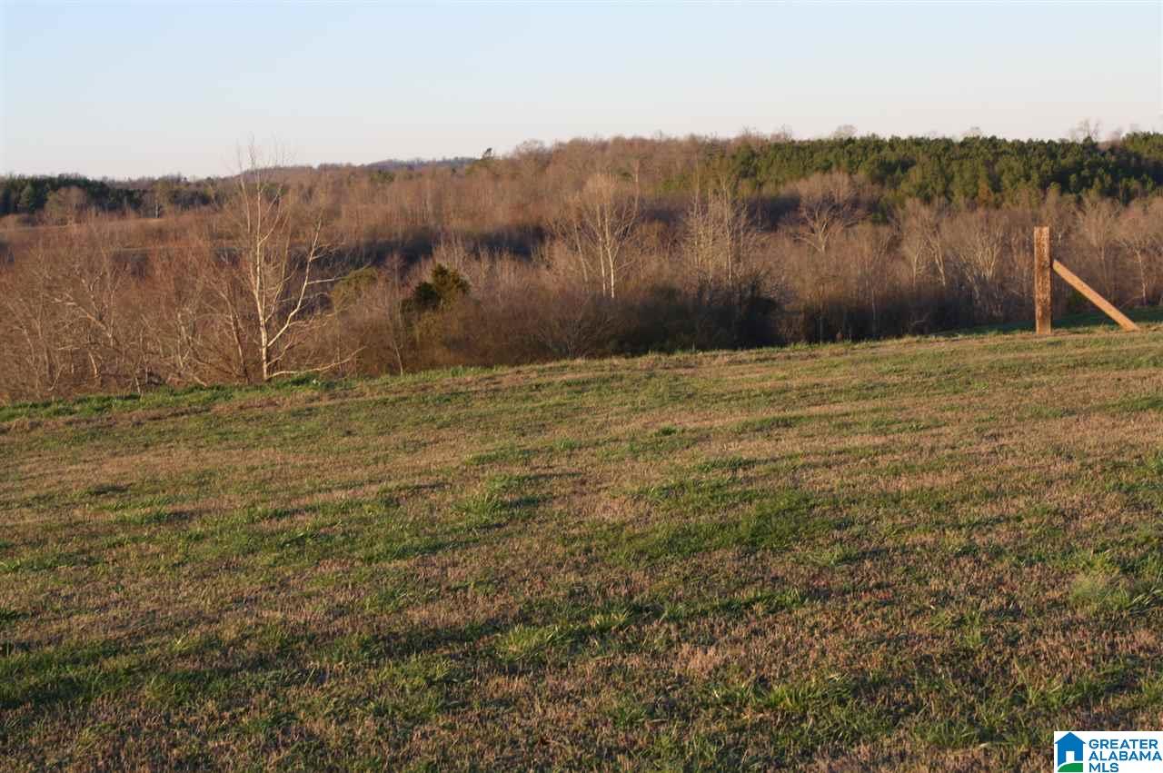 375 Wow Road Blountsville, AL 35031 - Photo 38 of 39 Gallery Image 38
