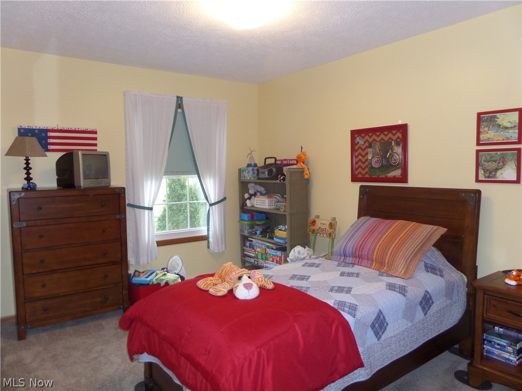 7240 Ballash Road Medina, OH 44256 - Photo 17 of 26 Gallery Image 17