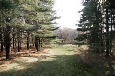 17778 18 Mile Road Marshall, MI 49068 - Photo 22 of 24 Additional Photo