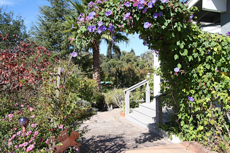 3999 Cherryvale Avenue Soquel, CA 95073 - Photo 3 of 23 a view of a house with a tree