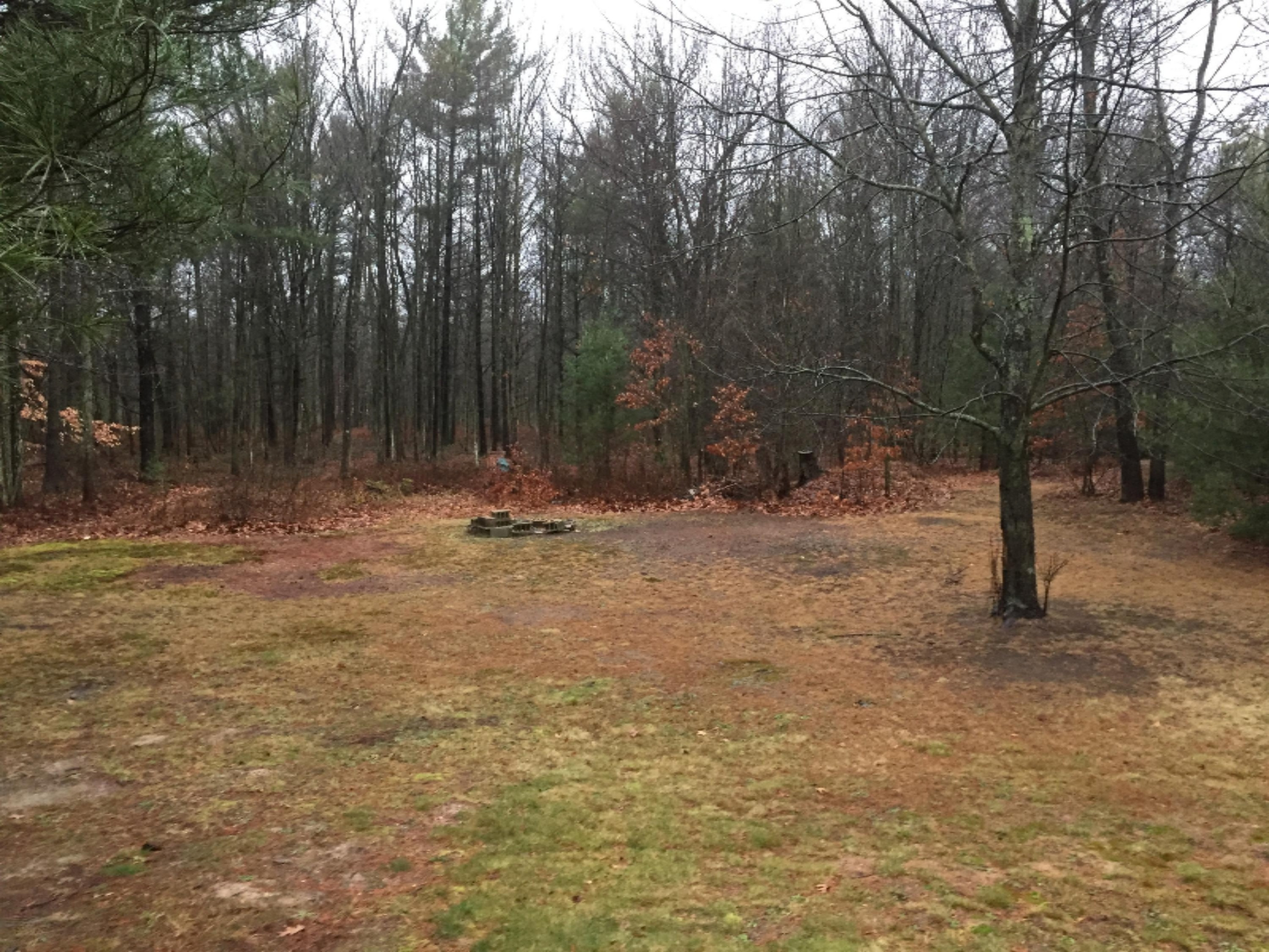 2085 Simonelli Road Muskegon, MI 49445 - Photo 4 of 17 Back Yard