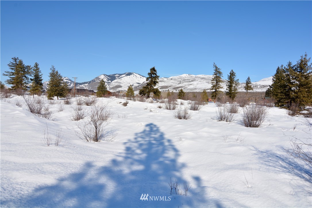 4-lot Wolfden Road Winthrop, WA 98862 - Photo 14 of 24 Gallery Image 14