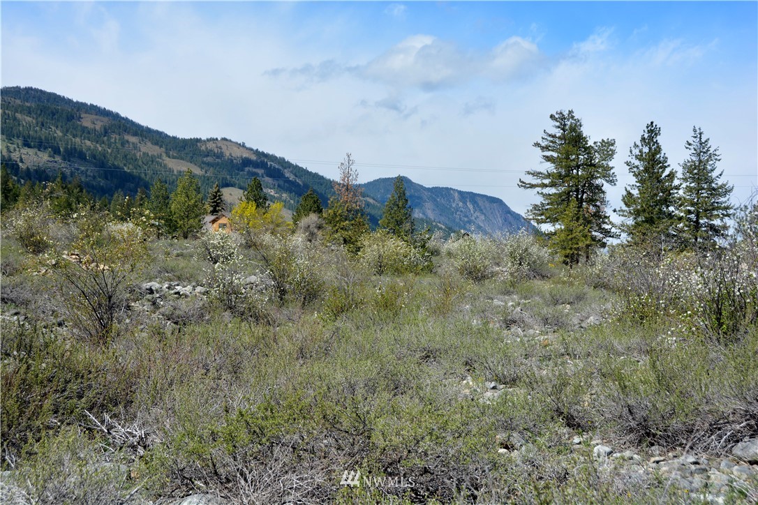 4-lot Wolfden Road Winthrop, WA 98862 - Photo 3 of 24 Gallery Image 3