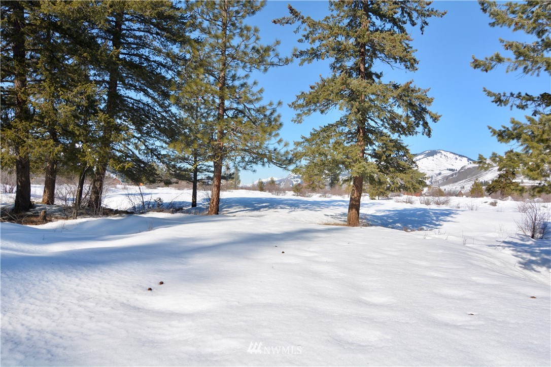 4-lot Wolfden Road Winthrop, WA 98862 - Photo 22 of 24 Gallery Image 22