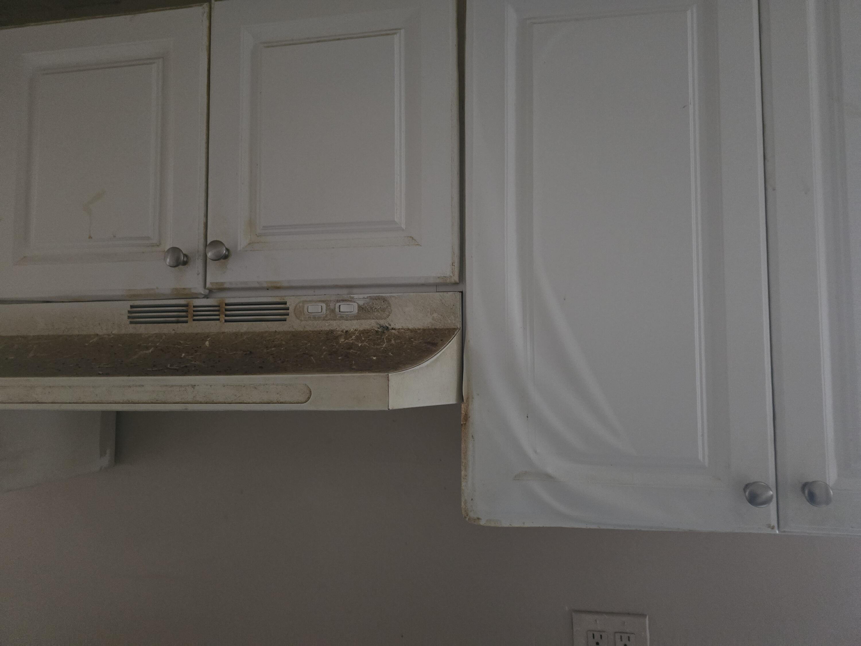 21706 Rausch Avenue Eastpointe, MI 48021 - Photo 11 of 14 20241119_145953