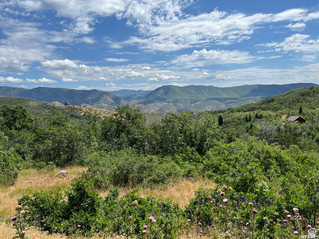St, Unit 41 Springville, UT 84663 - Photo 12 of 12 View of mountain background