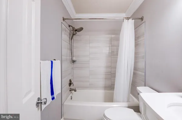 a bathroom with a shower and a toilet