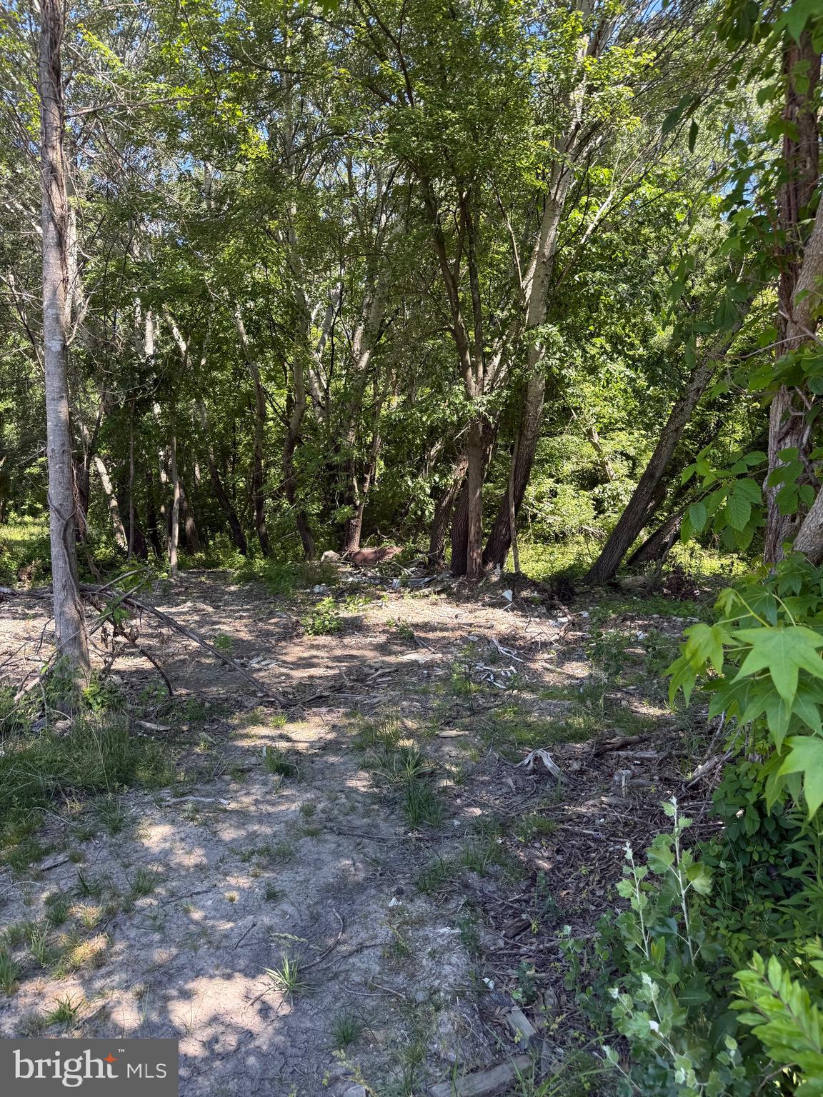 105 Barclay Cutoff Road Barclay, MD 21607 - Photo 1 of 7