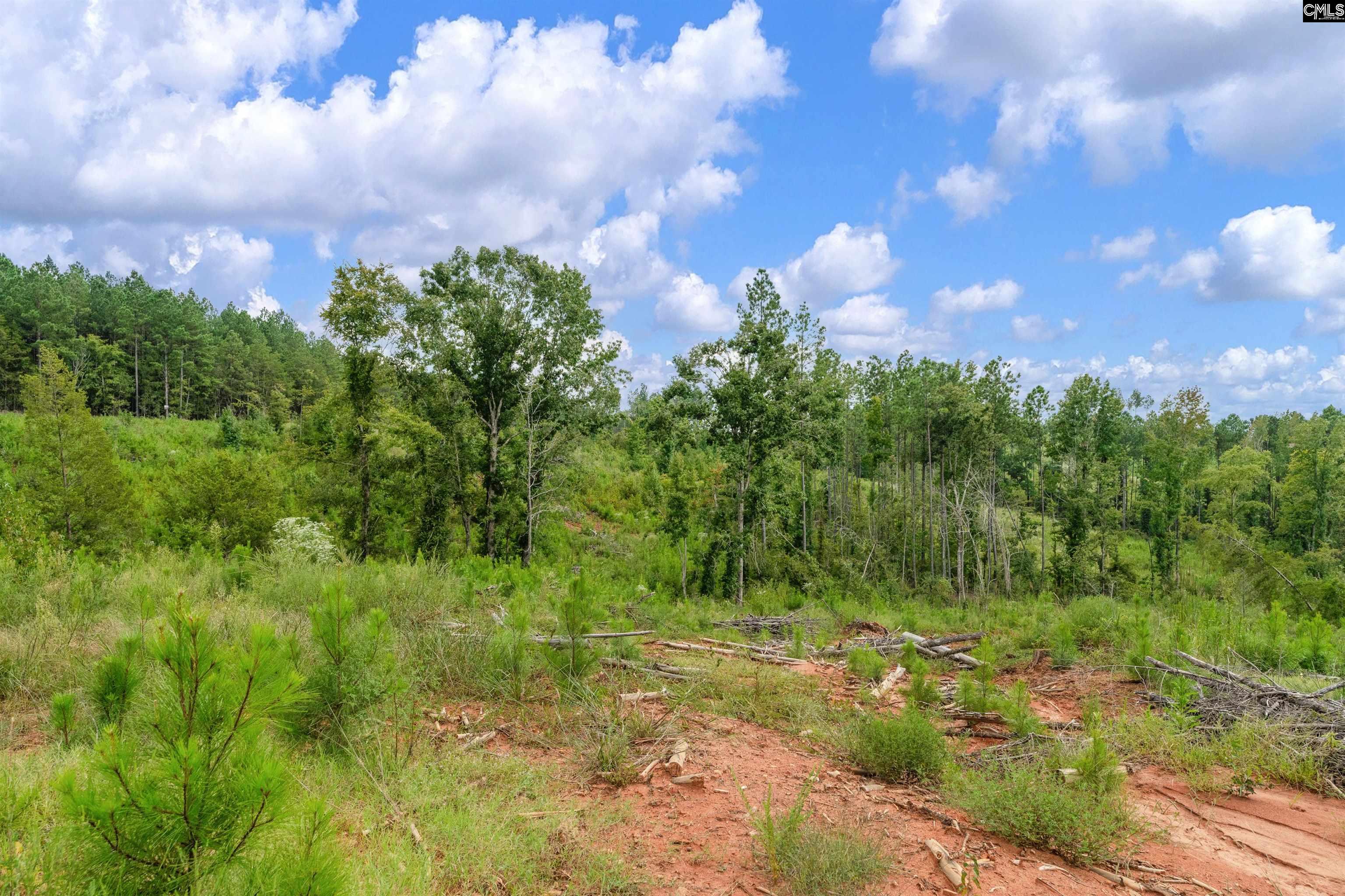 0 Penner Road, Unit 7 Jenkinsville, SC 29065 - Photo 29 of 36