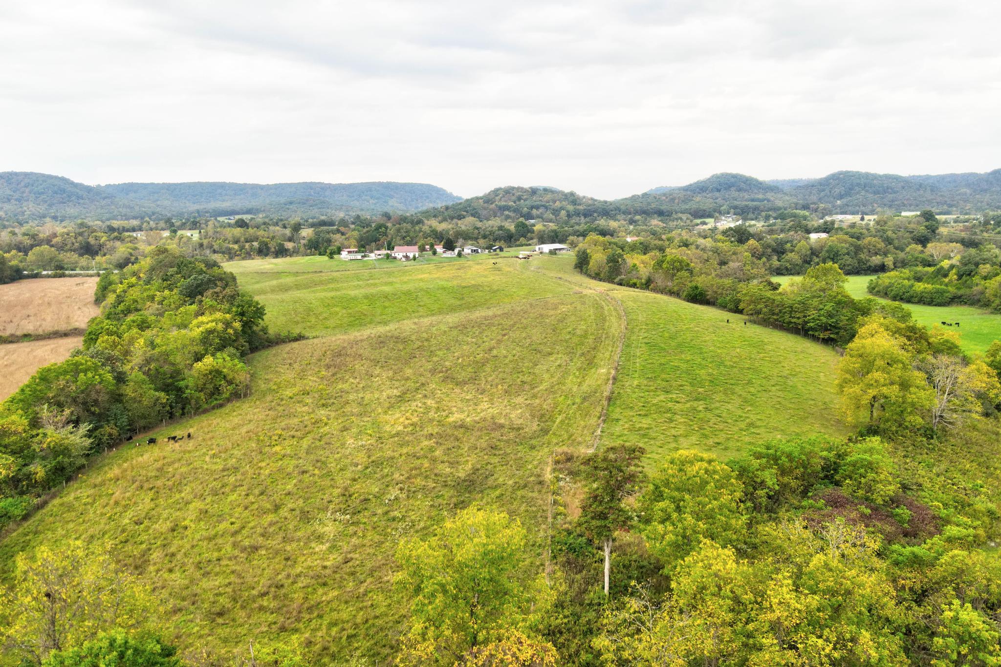 147 Reeds Lane Wallingford, KY 41093 - Photo 66 of 74 DJI_0142_3_3-2