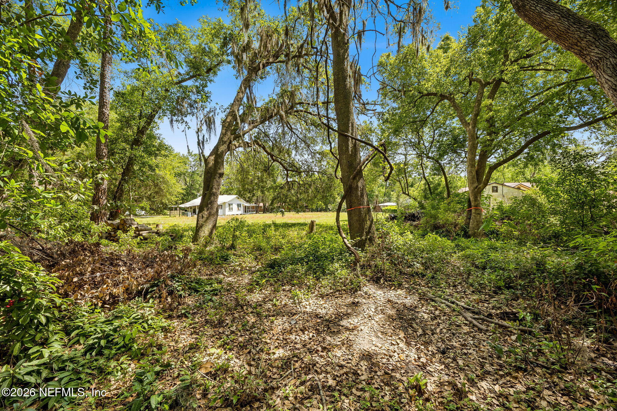 6319 Gaskins Road Jacksonville, FL 32244 - Photo 5 of 6 a view of outdoor space and a yard