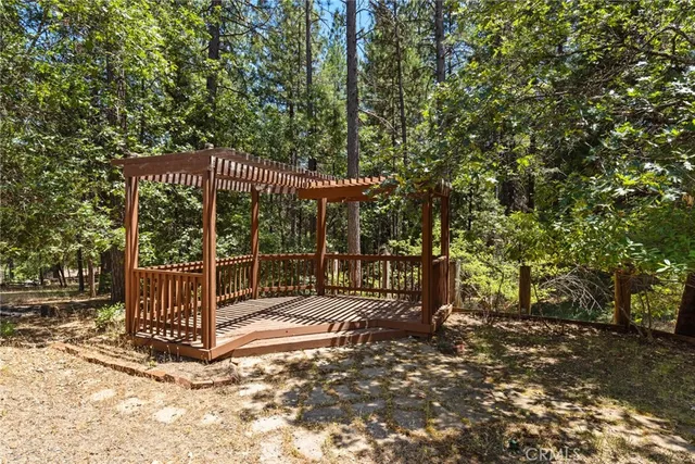 a view of a park with large trees
