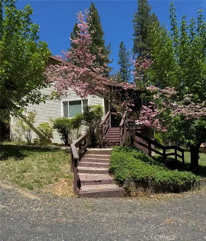 a view of a backyard with plants and a lake view