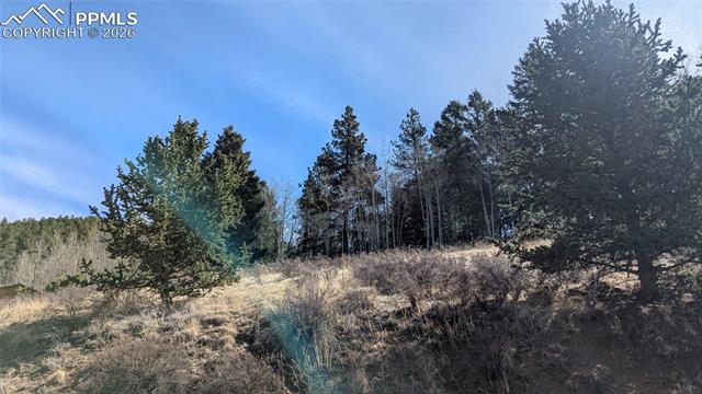 136 Valley Road Divide, CO 80814 - Photo 4 of 7 Vegetation and terrain offer so many options!