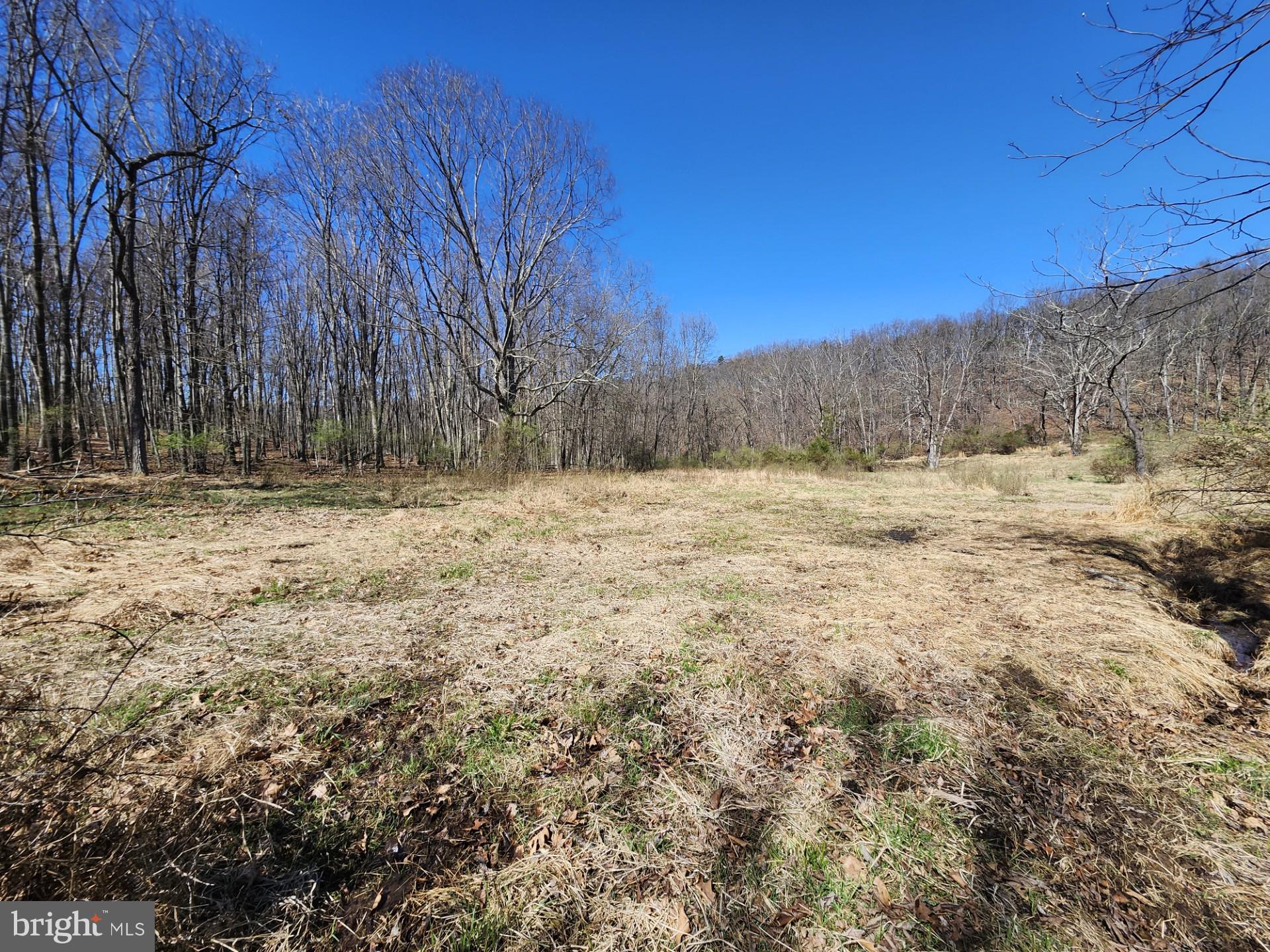A J Kelley Road Old Fields, WV 26845 - Photo 40 of 65