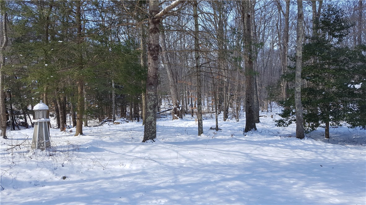1261 Shannock Road Charlestown, RI 02813 - Photo 25 of 27 Front side yard view towards street