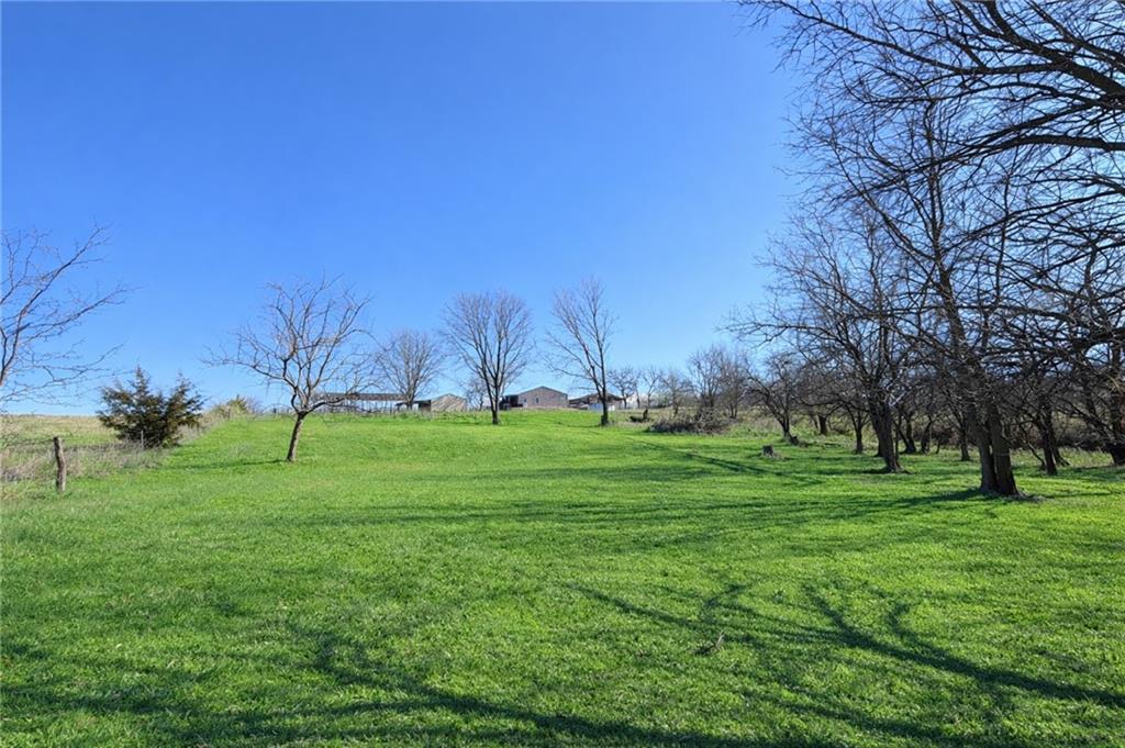 1044 Southwest 101st Road Chilhowee, MO 64733 - Photo 48 of 53
