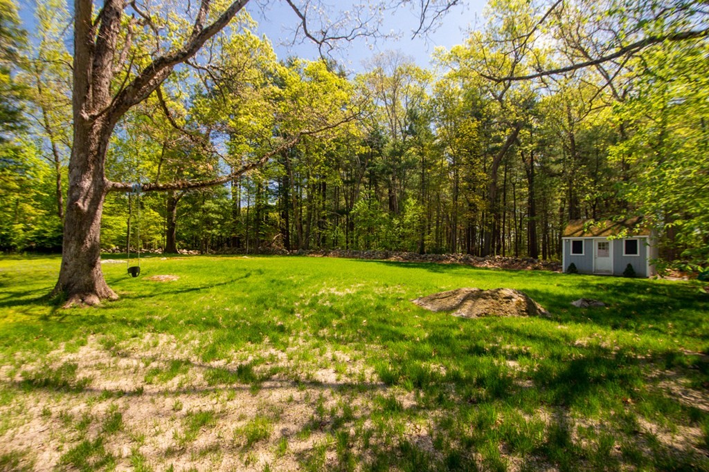 240 Summer Street Walpole, MA 02071 - Photo 32 of 34 a view of garden with trees