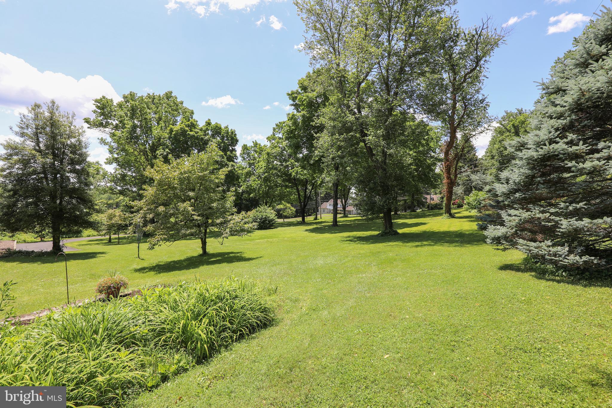 975 Limekiln Road Doylestown, PA 18901 - Photo 19 of 47 View from back yard