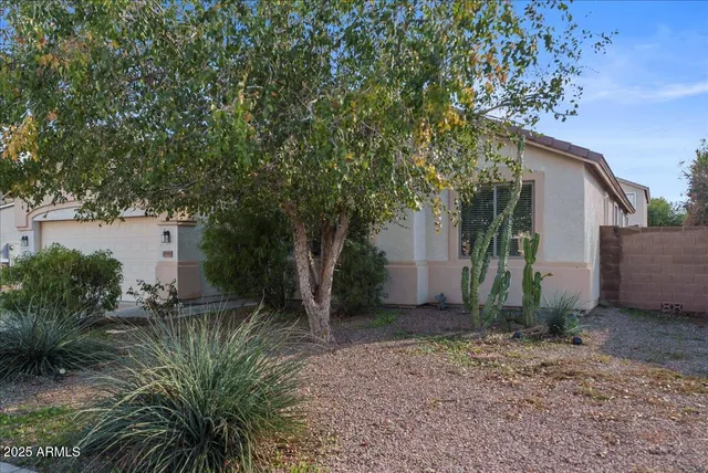 a backyard of a house with plants and large tree