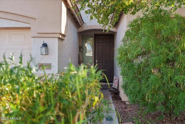 a view of a pathway of house with potted plants