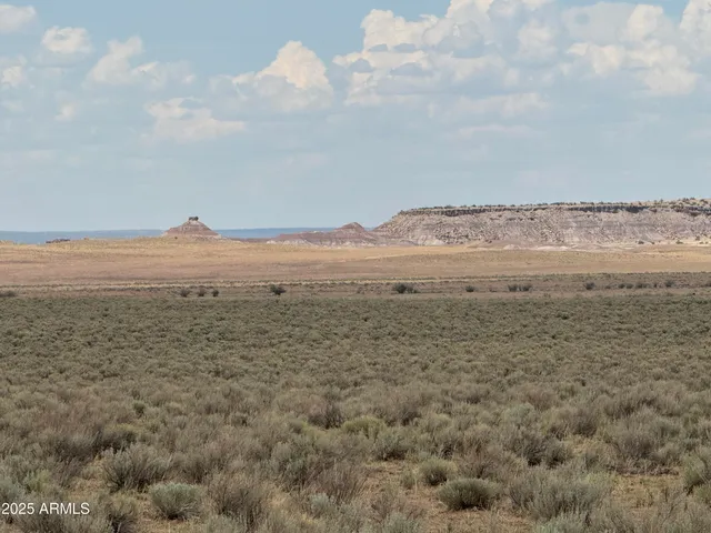 a view of an ocean and beach
