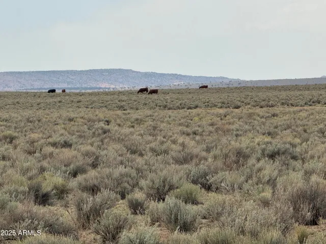 an aerial view of beach and city