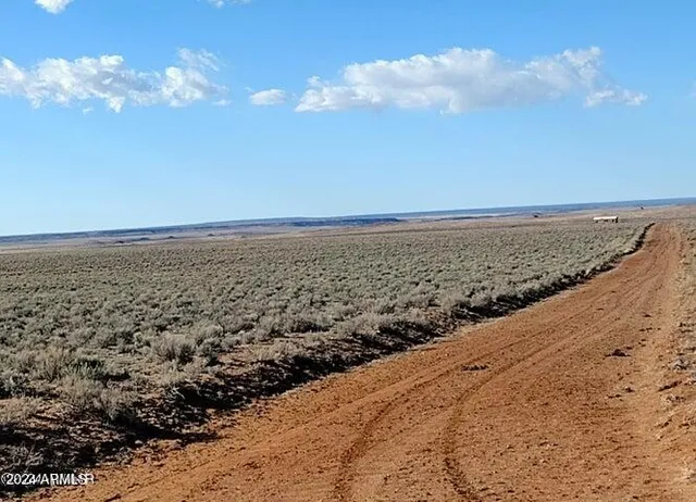 a view of beach and ocean