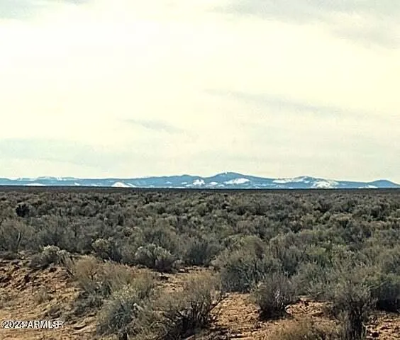 a view of a large mountain with green field in middle