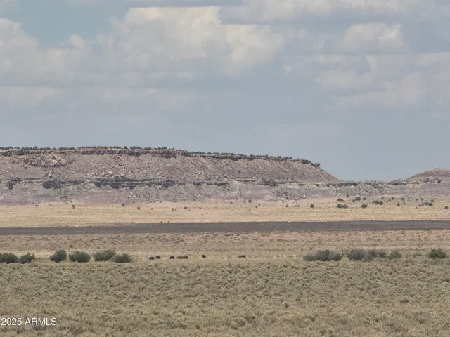 a view of an ocean beach