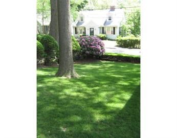 133 High Haith Road Arlington, MA 02476 - Photo 3 of 29