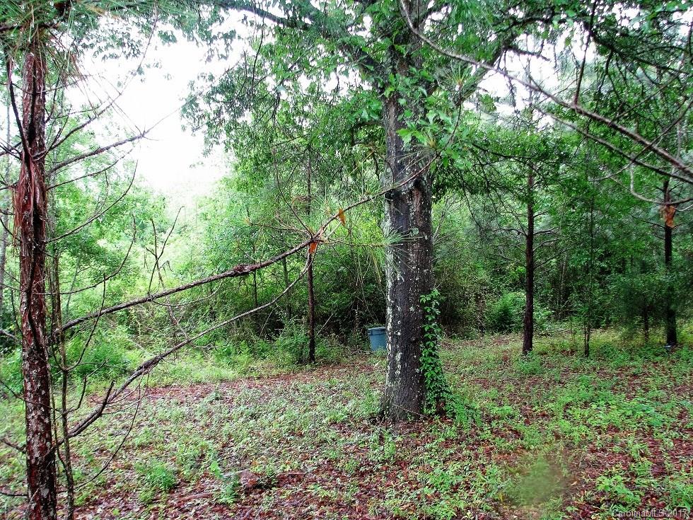 9.4-ac Culp Road Edgemoor, SC 29712 - Photo 11 of 12 Gallery Image 11