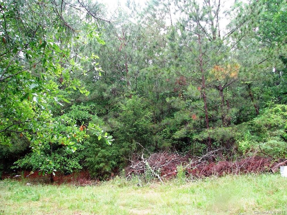 9.4-ac Culp Road Edgemoor, SC 29712 - Photo 8 of 12 Gallery Image 8