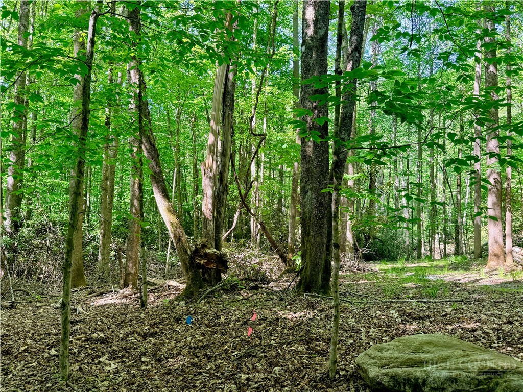 Lot 5 Buckeye Ridge Road Beech Mountain, NC 28604 - Photo 5 of 12