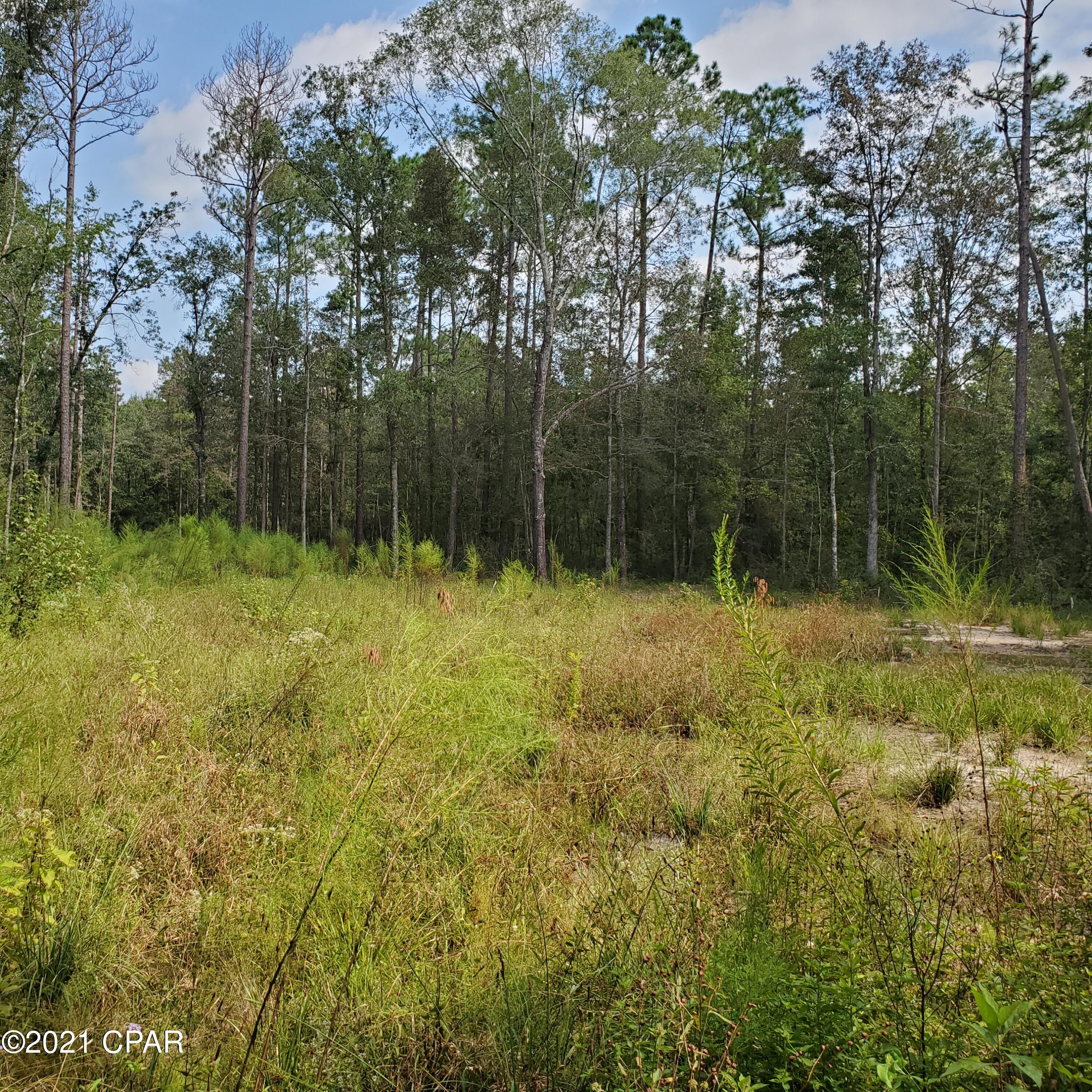 2848 Prospect Road Vernon, FL 32462 - Photo 5 of 6 Gallery Image 5