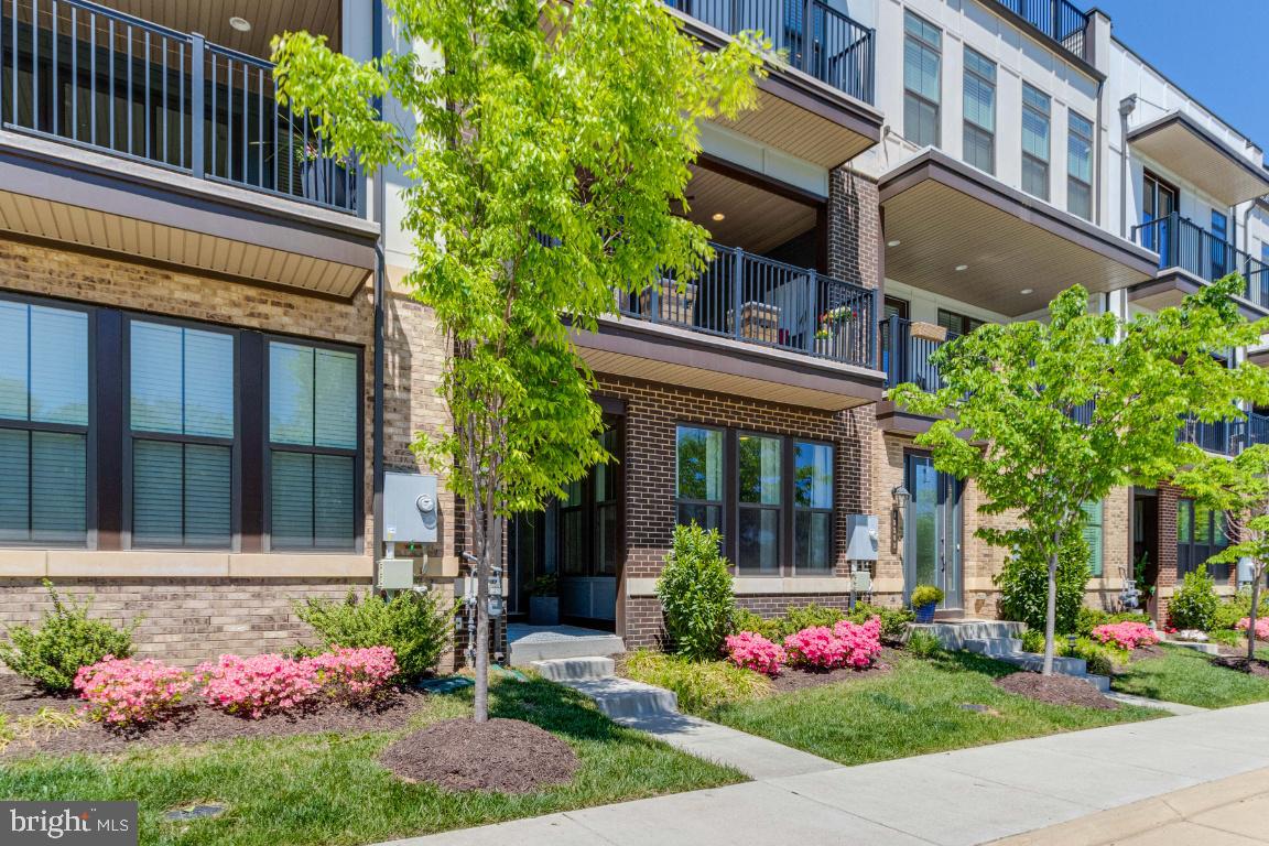 42361 Chapel Gate Terrace Brambleton, VA 20148 - Photo 2 of 54