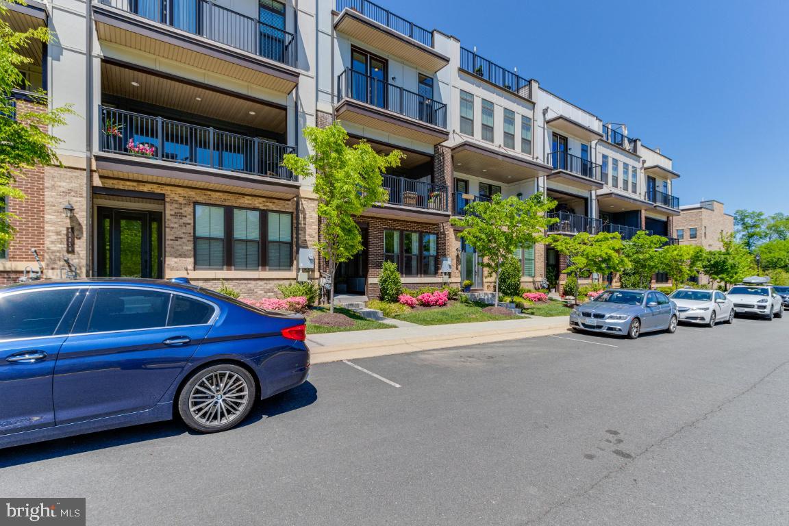 42361 Chapel Gate Terrace Brambleton, VA 20148 - Photo 3 of 54