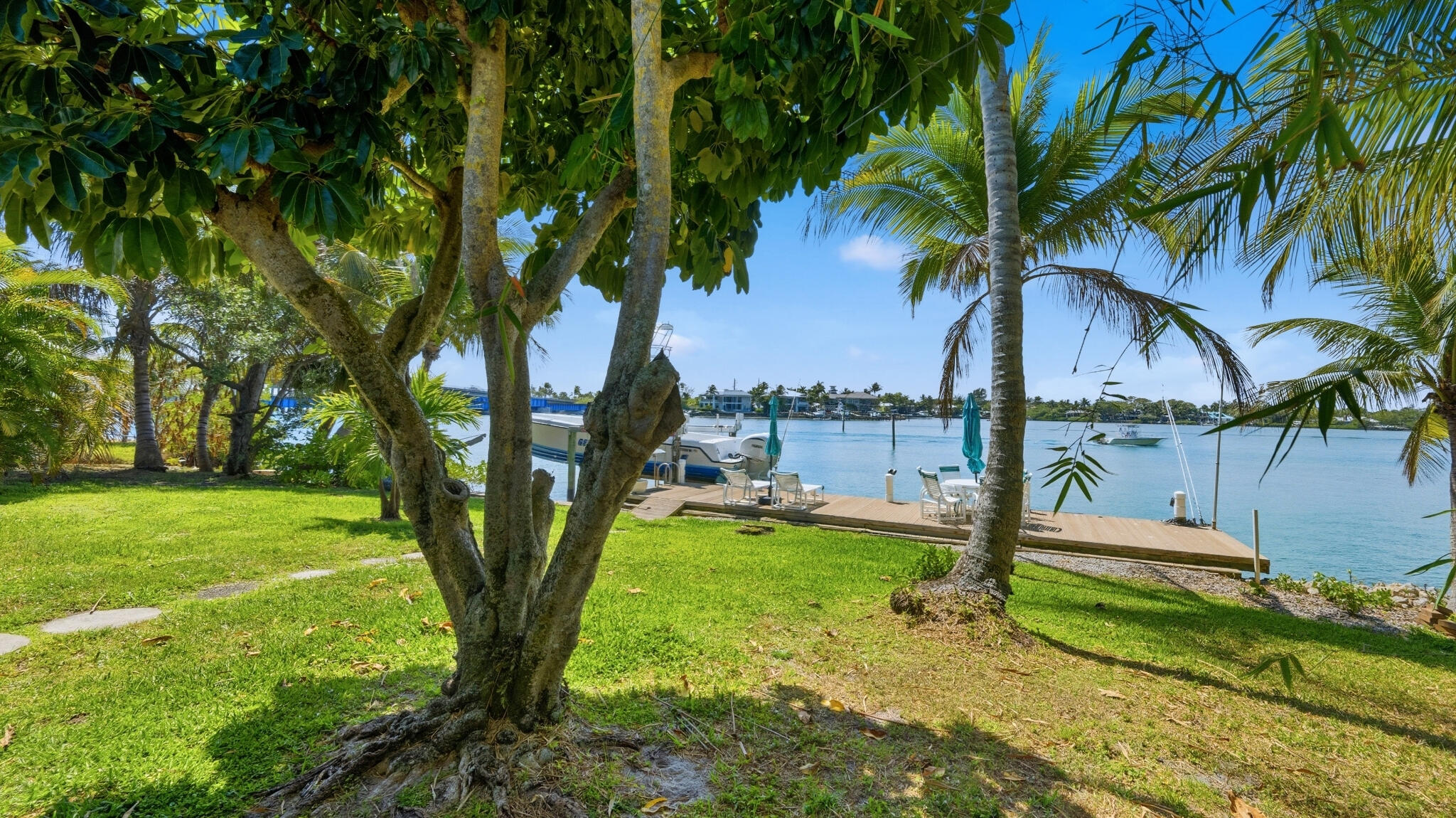 1305 Peninsular Road Jupiter, FL 33469 - Photo 8 of 23 a view of a garden with a tree