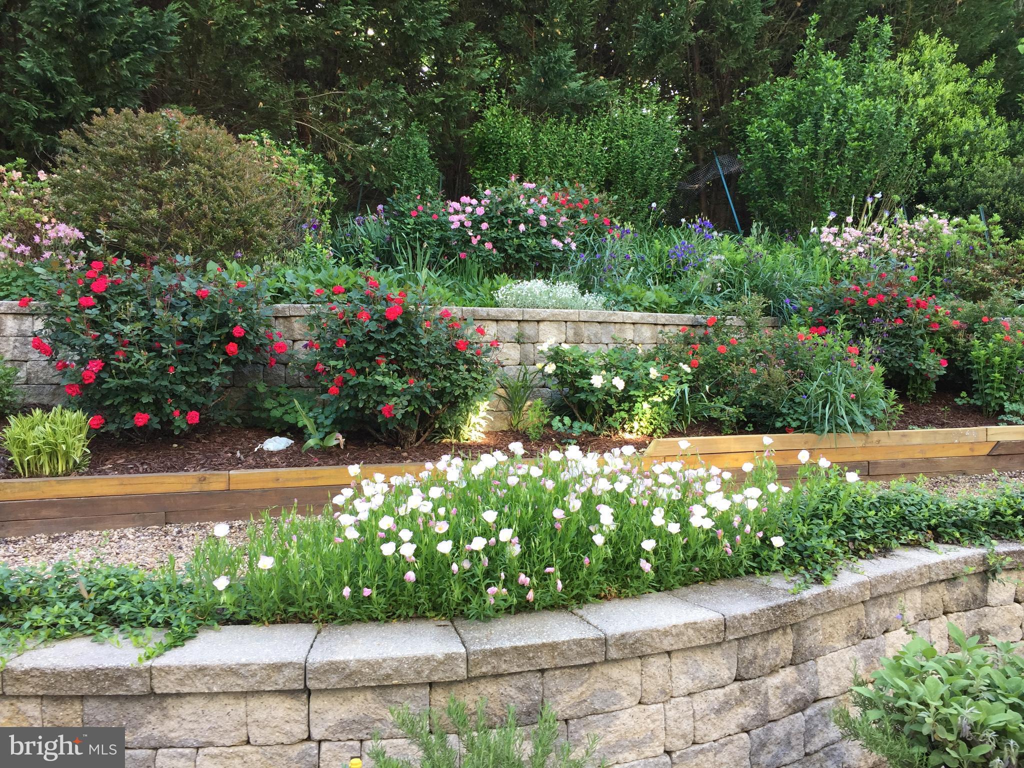 8639 Hillside Manor Drive Springfield, VA 22152 - Photo 29 of 30 a view of a garden with flowers