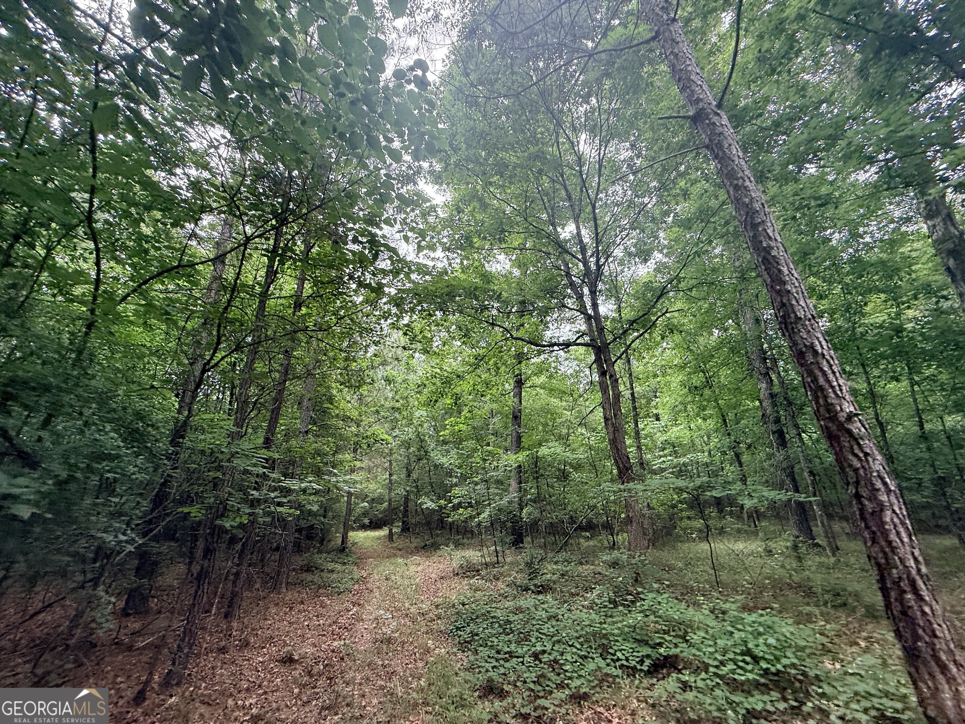 1 Bethesda Church Road Lexington, GA 30648 - Photo 12 of 78