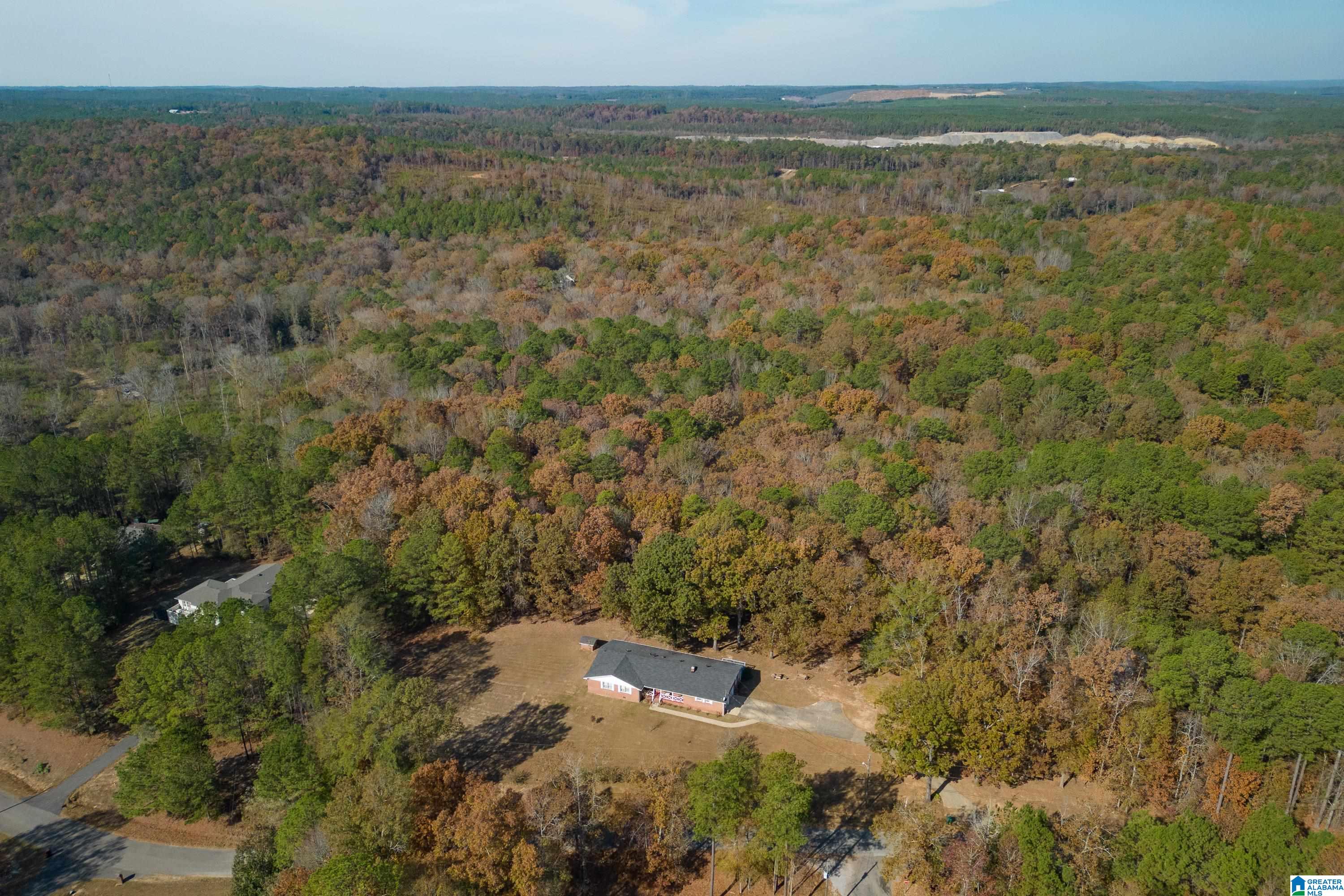13026 Hobby Horse Road Vance, AL 35490 - Photo 38 of 48