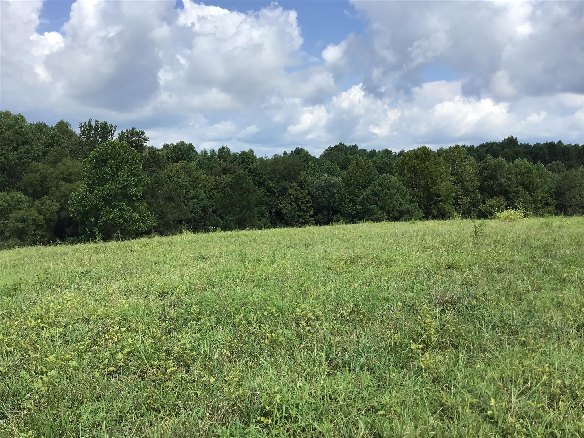 1541 Smalling Road Lafayette, TN 37083 - Photo 1 of 8