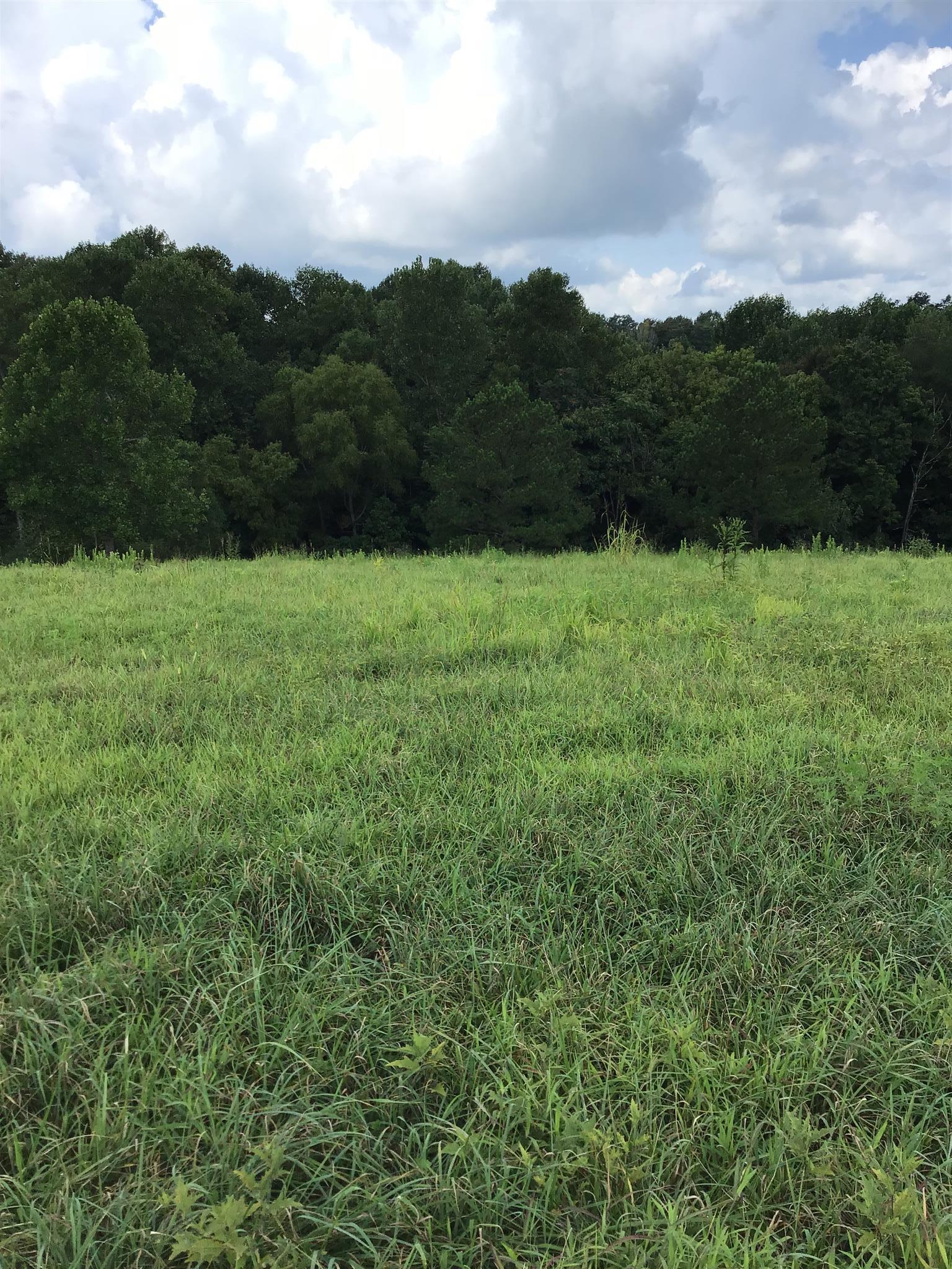 1541 Smalling Road Lafayette, TN 37083 - Photo 6 of 8