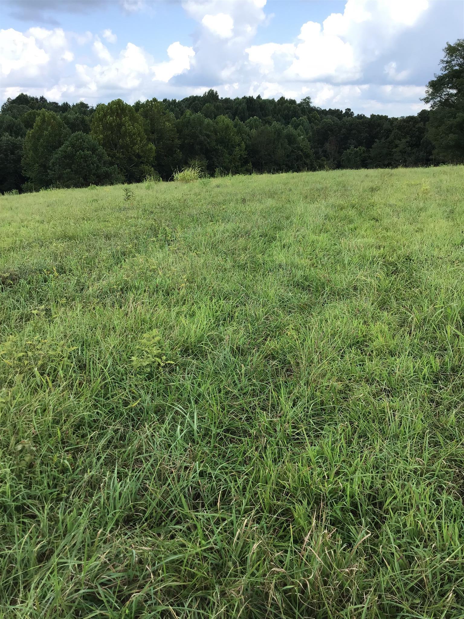 1541 Smalling Road Lafayette, TN 37083 - Photo 7 of 8