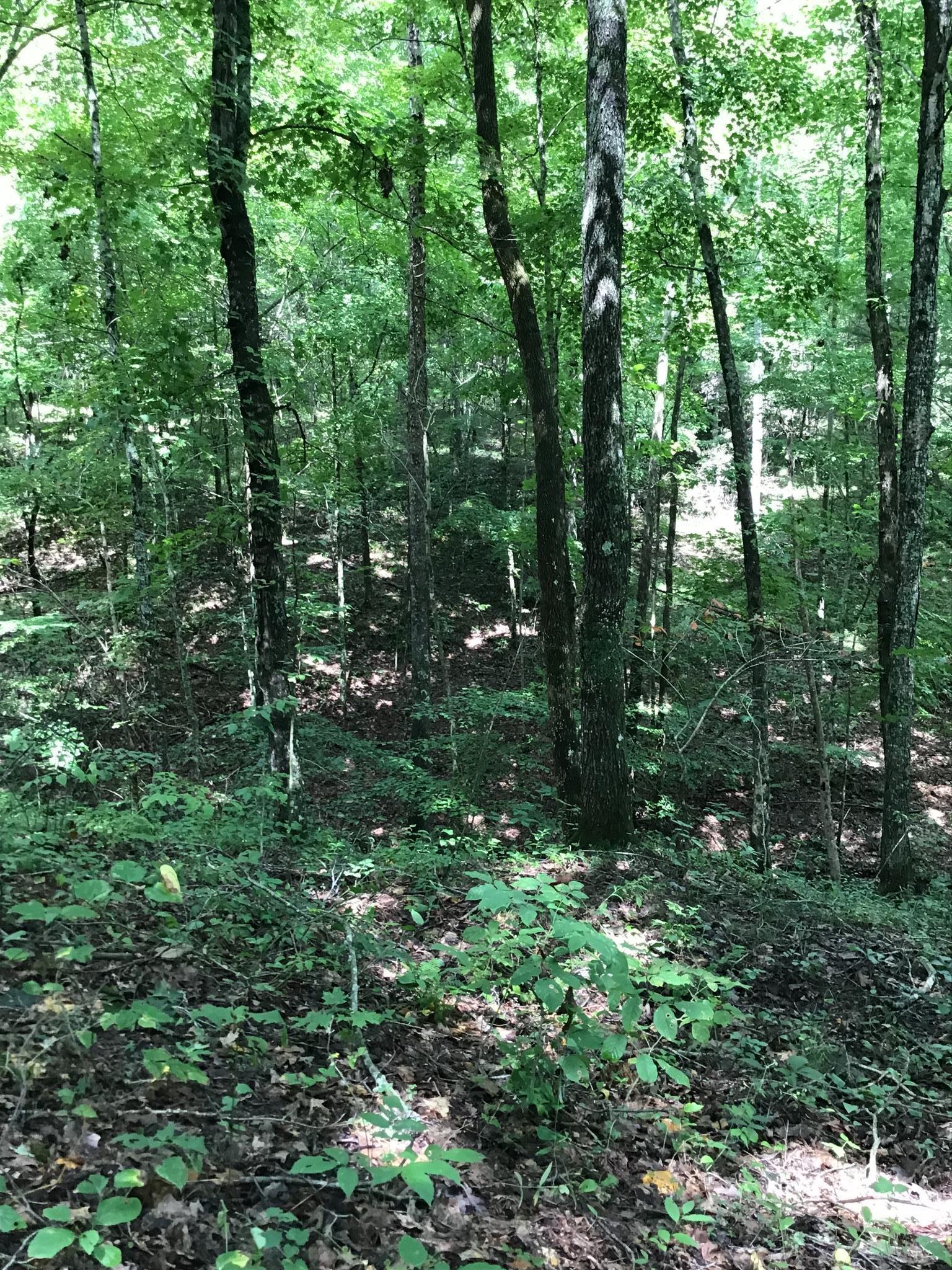 1541 Smalling Road Lafayette, TN 37083 - Photo 8 of 8
