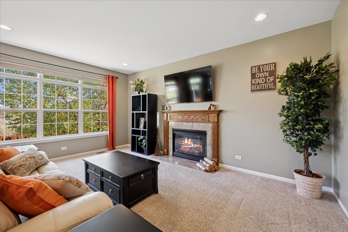 2681 Braeburn Way Woodstock, IL 60098 - Photo 12 of 41 a living room with furniture potted plant and a fireplace